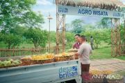 BRI resmikan Kick-Off Desa BRILiaN 2026 dorong transformasi Desa 5.0