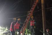 PLN Lampung pulihkan pasokan listrik hingga ke masyarakat