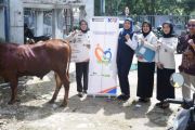 KAI Divre Palembang salurkan 30 sapi kurban pada Idul Adha 1447 Hijriah