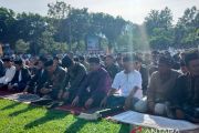Pemotongan hewan kurban di Agam meningkat 3,5 persen