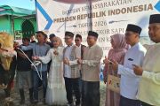 Masjid Al Hidayah Kendal menerima sapi kurban Presiden Prabowo seberat 1,1 ton