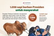 1.098 sapi kurban presiden untuk masyarakat