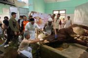 Sapi kurban Presiden di Yogyakarta dibagikan ke warga bantaran Code