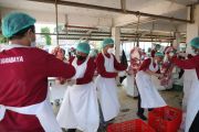 Kurban di simpang peradaban