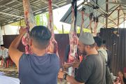 UNG kurbankan 21 sapi hasil iuran dosen dan pegawai
