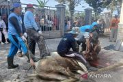 Temanggung terjunkan 92 personel awasi kesehatan hewan kurban