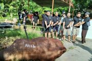 Ditjen PAUD dan Dikmas selenggarakan pendidikan berbasis digital MOOC
