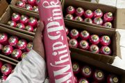 Bareskrim akan jemput paksa seorang pemengaruh dalam kasus Whip Pink