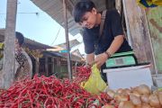 BRMP: Sebaran penerima bantuan bibit hortikultura Lampung capai 136 hektare