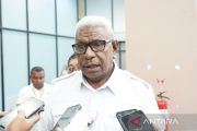 Pemerintah Mimika siapkan lahan UPTD pembibitan ternak sapi