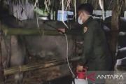 PKK Sulbar mengapresiasi kreativitas narapidana Lapas Perempuan Mamuju