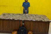 Polresta Sorong gagalkan peredaran ganja 4,8 kg jaringan PNG