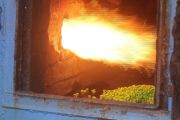 BNN Kalbar musnahkan ribuan ekstasi hasil operasi lintas batas negara