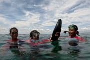 Sepak terjang "Joom Jak Sasi" dari Aduwei dalam menjaga ekosistem laut
