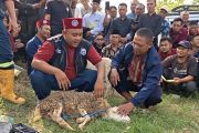 Kemenag Ponorogo beri pelatihan Juru Sembelih Halal ke ratusan peserta
