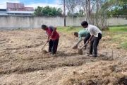 Pemkot Palu galakkan Urban Farming untuk kemandirian pangan keluarga