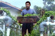 Petani Aceh sulap lahan tidur jadi kebun hidroponik bernilai ekonomi
