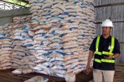 PI pasok pupuk untuk 2.000 hektare sawah terendam banjir di Sultra