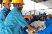 Hilirisasi karet dongkrak harga di tingkat petani Kaltim