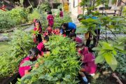 Siswa SD di Solo belajar proses pangan lewat kebun sirkular