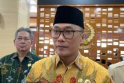 BKN tegaskan honorer sudah dihapus, pemerintah fokus PNS dan P3K
