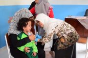 IDAI ingatkan risiko Hantavirus pada anak dengan penyakit penyerta