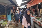 Semarang mitigasi Hantavirus dengan program &ldquo;Gembira Ria&rdquo;