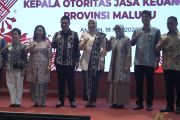 Pemprov Maluku-OJK perkuat sinergitas untuk stabilitas keuangan daerah