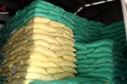 Bulog Kalteng serap 1.200 ton beras dari petani lokal untuk cadangan