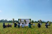 Tulungagung perkuat posisi sebagai lumbung pangan daerah