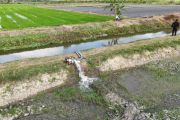 Kementan kawal sentra pangan Merauke antisipasi dampak El Nino