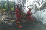 Riau puts 11 regions on forest fire alert ahead of dry season