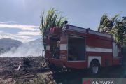 BNPB: Kondisi cuaca panas berpotensi perluas karhutla di Aceh
