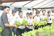 Dukung MBG, Lapas Lamongan pasok selada hidroponik ke SPPG Keduyung