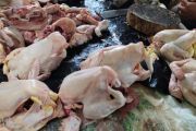 BPS Lampung catat inflasi tahunan Lampung pada Mei capai 1,94 persen