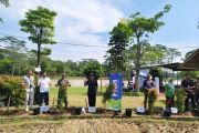 PT Permodalan Nasional Madani menanam 500 pohon di Temanggung