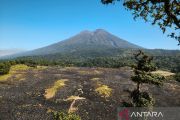 BPBD NTB mengimbau warga waspadai karhutla di kawasan Rinjani