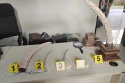 Indonesia busts illegal ivory network in Bali tourist hub