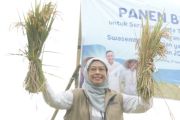 KPK memanggil Kepala Bulog Jateng dan 37 saksi terkait kasus bansos beras