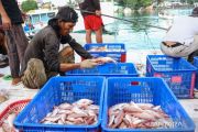 Indonesia to deposit ILO fishing convention ratification