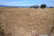 Pemkab Gowa gandeng daerah tetangga hadapi El Nino