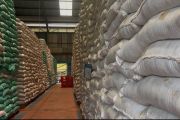 Bulog Sumsel Babel serap 99.466 ton gabah dan beras petani