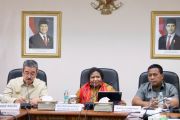 Wamendagri minta Pemda Maluku optimalkan potensi maritim