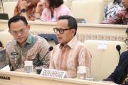 Wamendagri: Desartada jadi pedoman nasional dalam penataan daerah