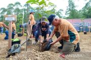 Otorita-UGM-Pamapersada tanam pohon di kawasan Wanagama IKN