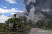 Indonesia's Mount Lewotobi erupts, sends ash 1.5 km high