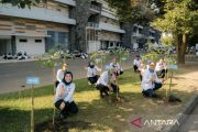 Pemberdayaan yang tumbuh bersama pohon yang ditanam