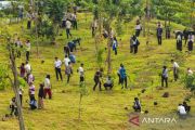 OIKN dan Pebanas tanam 1.153 pohon di ruang terbuka hijau KIPP IKN