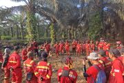 Manggala Agni tunjukkan hasil signifikan dalam menangani karhutla Riau