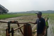 Atasi kekeringan, petani di Lebak gunakan pompa pantek sistem satelit